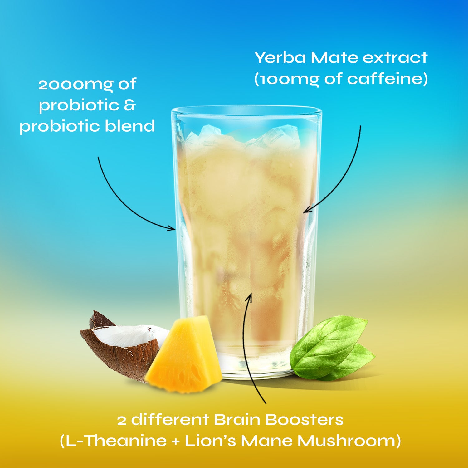 Yerba Magic® - Yerba Mate Instant Tea Powder | 30 Servings