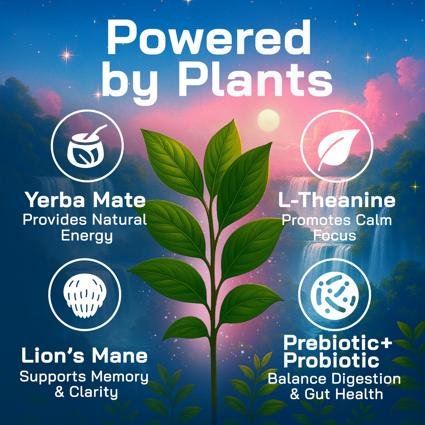 Yerba Magic Peach Mango - 10 Stick Pack