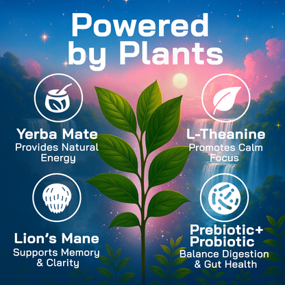 Yerba Magic Peach Mango - 10 Stick Pack