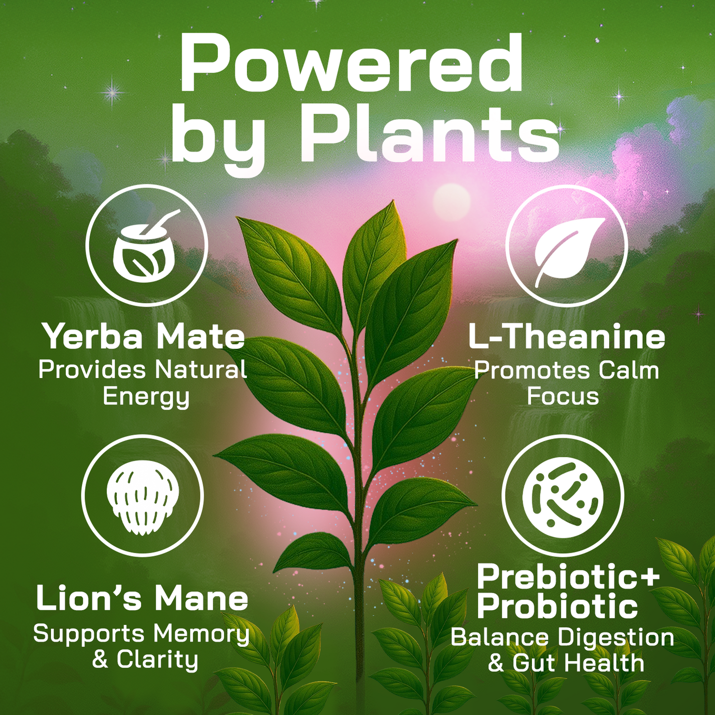 Yerba Magic Strawberry Matcha - 10 Stick Pack