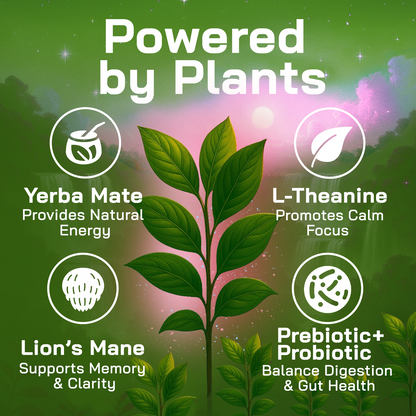 Yerba Magic Strawberry Matcha - 10 Stick Pack