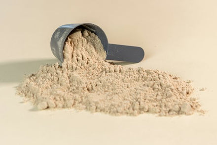 Scoop of taurine powder